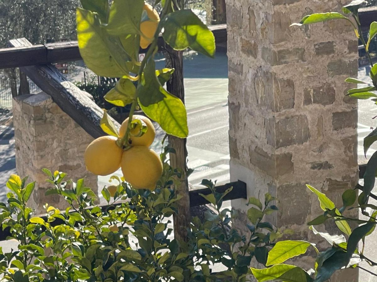 B&B Casa Limone Limone sul Garda Buitenkant foto