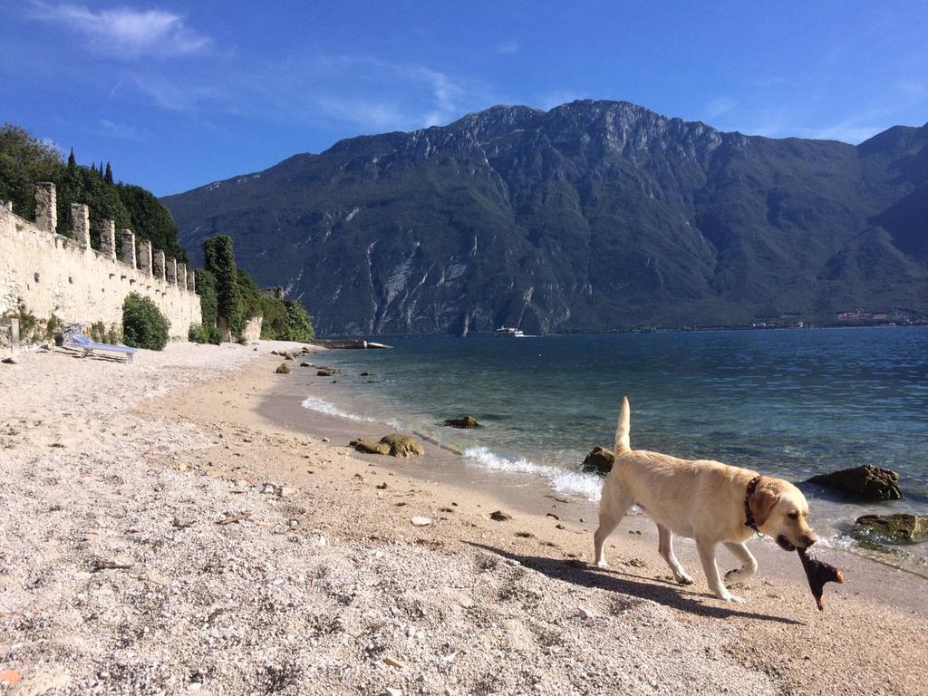 B&B Casa Limone Limone sul Garda Buitenkant foto